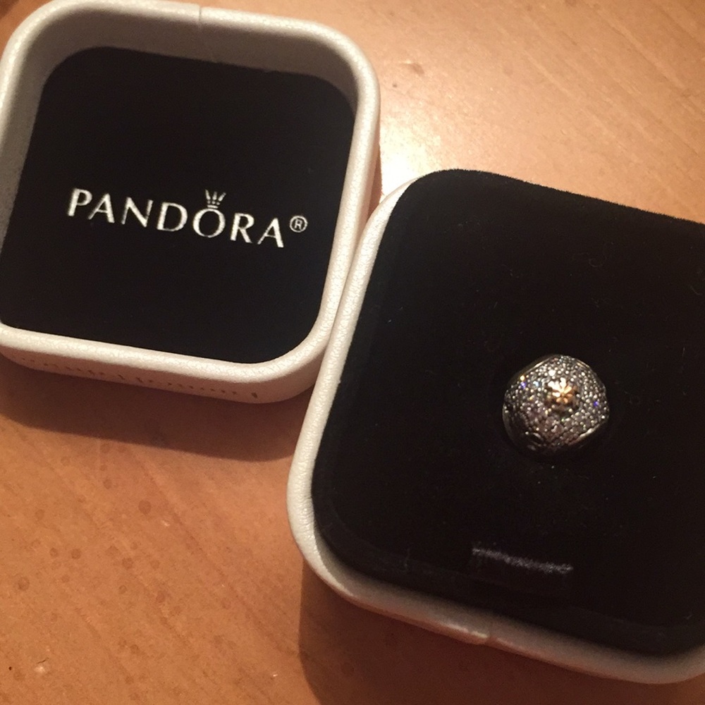 Limited Edition Holiday Pandora Bead ❄️